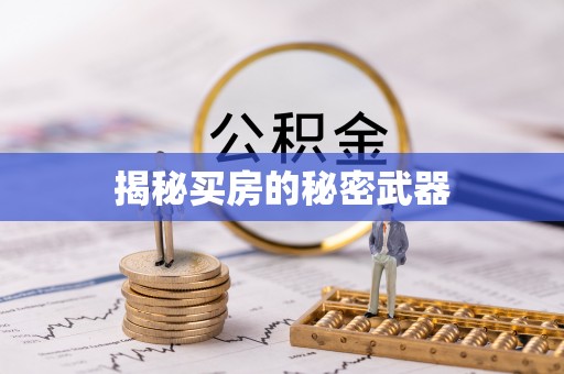 泽普揭秘买房的秘密武器