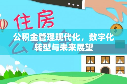 泽普公积金管理现代化，数字化转型与未来展望