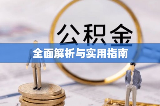 泽普全面解析与实用指南