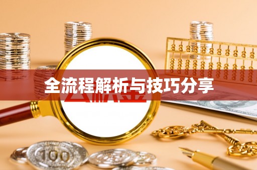 泽普全流程解析与技巧分享
